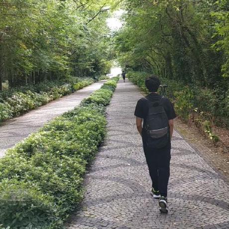 Bolatysf Yusuf Bolat Github - Premium Minimal Photo Gallery - Desktop