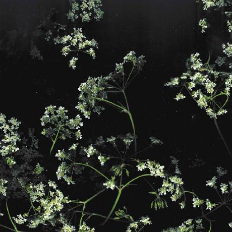 Megaariii Mega Ari Github - Classic HD Nature Arts | Free Download