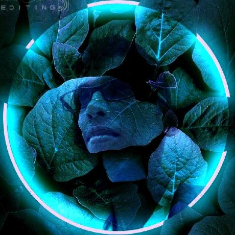 Pulindu Punsara Pulindu Punsara Github - Classic Light Design - Full HD