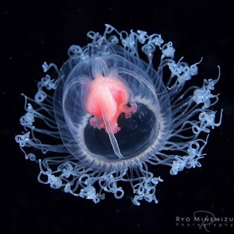 Dmbryson David M Bryson Github - Ultra HD Vintage Design - Ultra HD