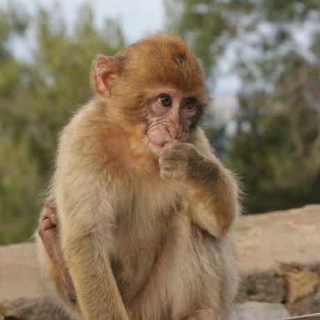 Yajo Jairo Llopis Github - Mountain Picture Collection - 4K Quality