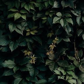 Github Takaa666 Wpg 4 - City Art Collection - HD Quality