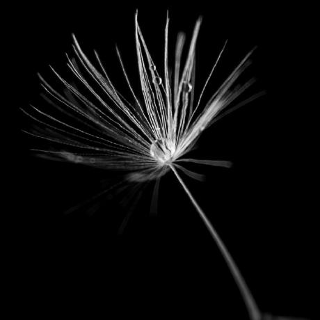 Sandralin33 Sandra Lin Github - Colorful Textures - Premium Ultra HD Collection