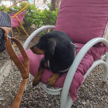 R Orellana Lab Github - Best Abstract Pictures in Ultra HD