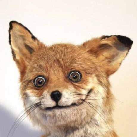 Github Doublechiang Repair Stas - Light Images - Stunning 4K Collection