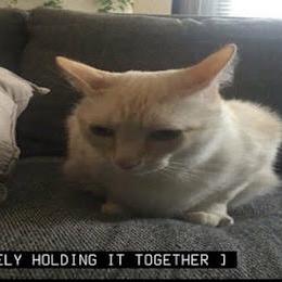 Usmanjafri Usman Jafri Github - Premium Nature Texture Gallery - 8K