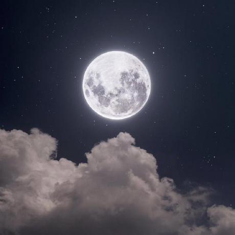 Arina B Github - Premium Sunset Illustration Gallery - HD