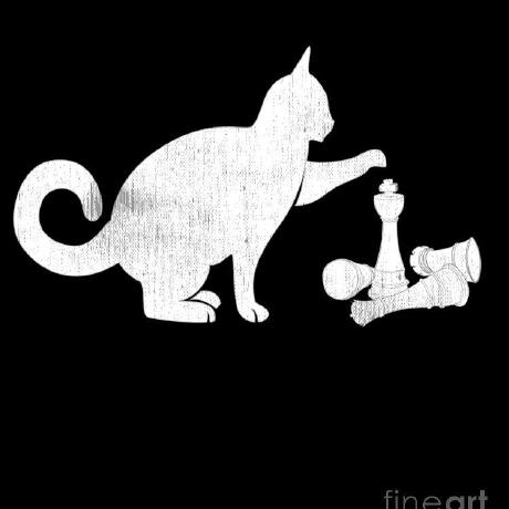 Touka Nakahara Github - Download Modern City Picture | High Resolution