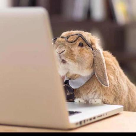 Xinyan Github - Premium Minimal Image - 4K