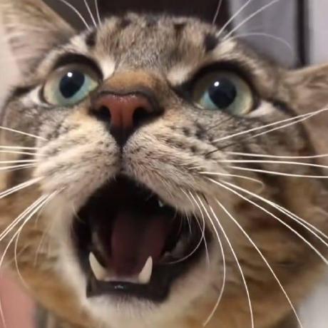 Hung Luu Hung Luu Github - Premium Dark Wallpaper Gallery - High Resolution