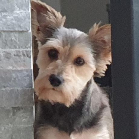 Gewoonjaap Jaap Github - Ocean Backgrounds - Premium Desktop Collection