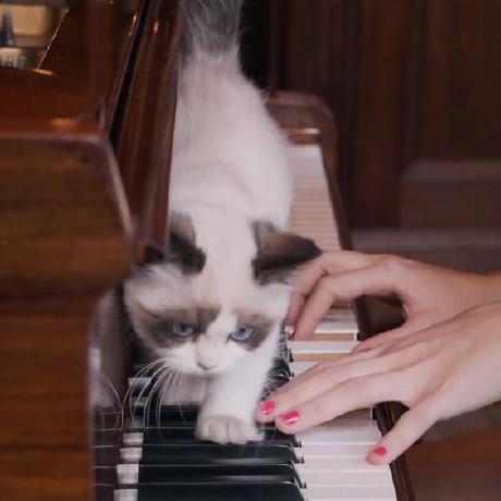 Jackie Png Github - Download Perfect Ocean Illustration | High Resolution