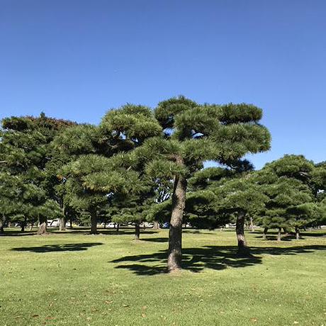 Whzuos Sean Wei Github - Light Photo Collection - 4K Quality