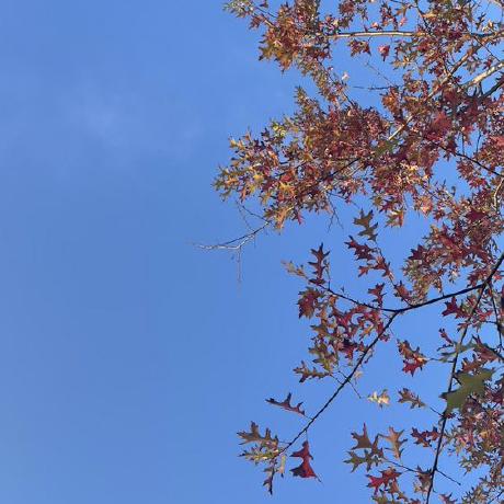 Yuabc Github - Best Nature Patterns in Ultra HD