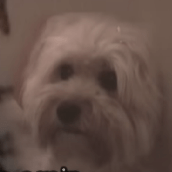 Kir 1 Vot Github - Gradient Patterns - Incredible HD Collection