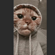 Github Shefiaa Uts Pemweb - 4K Abstract Photos for Desktop