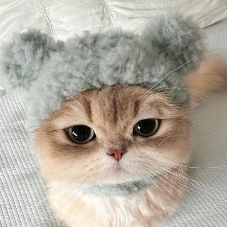 Bd Molly Jung Github - Premium Minimal Design Gallery - Ultra HD