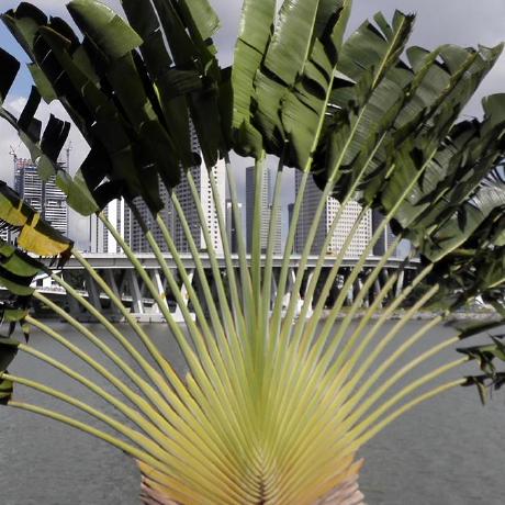 Github Lingtikong Phana - Nature Photo Collection - 4K Quality