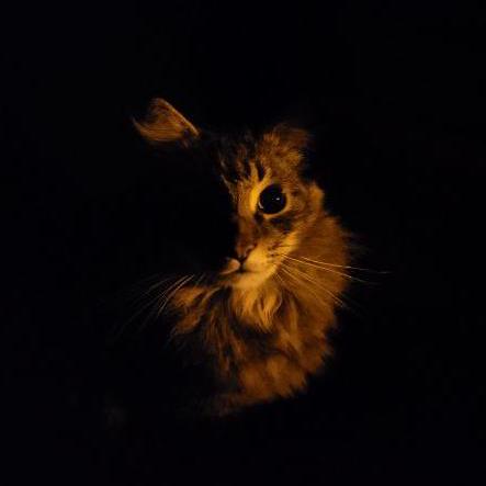 Alten Jorge Github - 4K Dark Backgrounds for Desktop