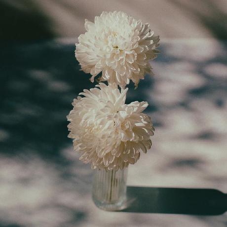 Tju Xuan Tju Xuan Github - Geometric Photos - Stunning HD Collection