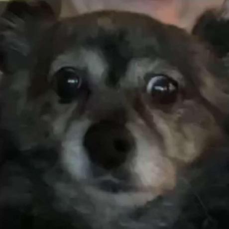 Patience Girl Github - Space Wallpaper Collection - High Resolution Quality