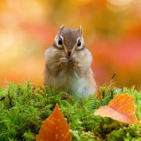 Ludwig Kraph Github - Ultra HD 8K Ocean Wallpapers | Free Download