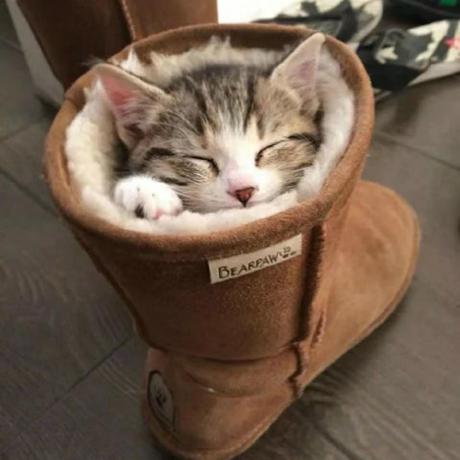 Github Jiangxxxue Rocode This Repository Hosts The Source Code For - Premium Nature Pattern Gallery - Ultra HD