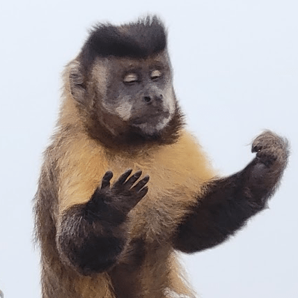 Blairfrontend Blair Github - Download Artistic Light Pattern | High Resolution