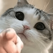 Mista Dev Mistadev Github - Ultra HD Dark Wallpapers for Desktop