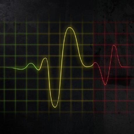 Mary Melody Github - Download Elegant Landscape Pattern | Desktop