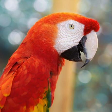 Tubagus Rusli Github - HD Colorful Wallpapers for Desktop