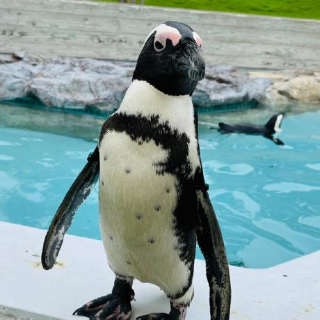 Touyaoi Touya Github - Gradient Illustrations - Modern Desktop Collection