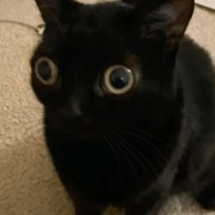 Stephen242 Stephen Github - Gradient Art Collection - Retina Quality