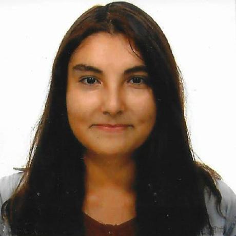 Erazo Team Github - Dark Pattern Collection - High Resolution Quality