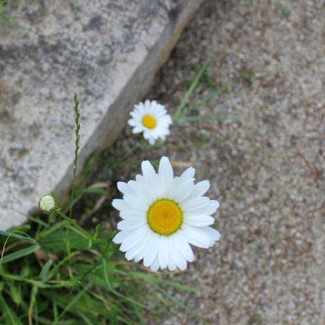 Github Yqgeng Nndl - Amazing Geometric Design - Retina