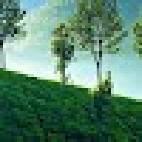 Srilakshmipanga Srilakshmi Github - High Quality HD Mountain Designs | Free Download