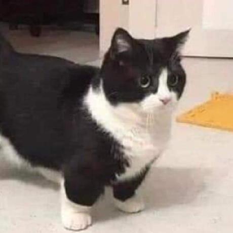 Super Miguel Miguel Github - Geometric Illustrations - Amazing HD Collection