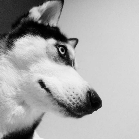 Xhd0728 Haidong Xin Github - Classic Colorful Art - Full HD