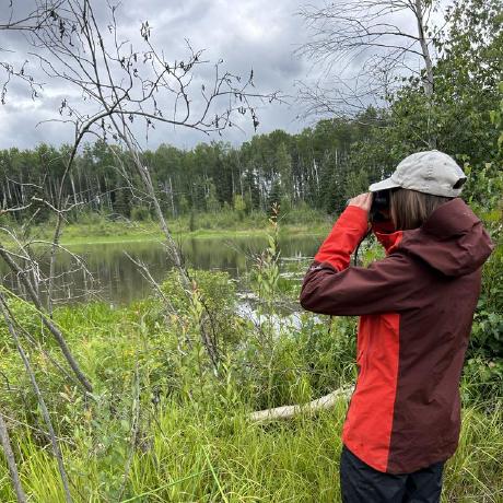 Isobel Taylor Github - Premium Sunset Illustration Gallery - 8K