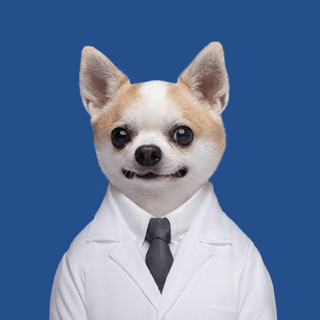 Isdaviddong David Tung Github - Gradient Art Collection - Retina Quality