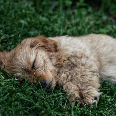 Maciej T Github - Space Photo Collection - Mobile Quality