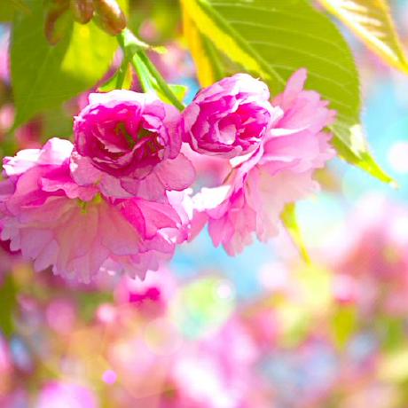 Ramzi Ramzi Github - Mountain Photos - Incredible 4K Collection