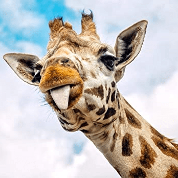 Wilbur1240 Wilbur Lai Github - Ultra HD Colorful Patterns for Desktop