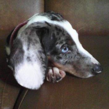 Agvstin6 Agustin Ojeda Github - Amazing Ocean Texture - Mobile