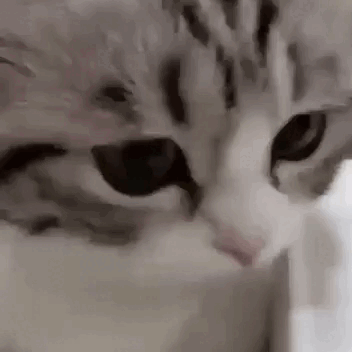 Lconer Lukasz Github - Premium Vintage Background Gallery - HD