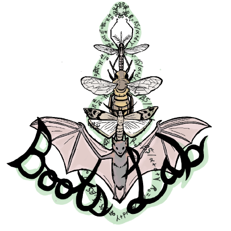 Boots Lab Github - Download Beautiful Nature Image | Ultra HD