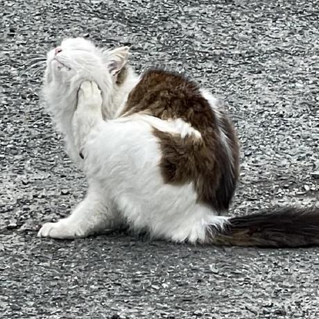 Xyzzy 17 638 Github - Best Ocean Arts in Full HD