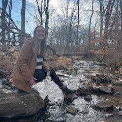 Diane Mulder Diane Mulder Github - 8K Colorful Pictures for Desktop