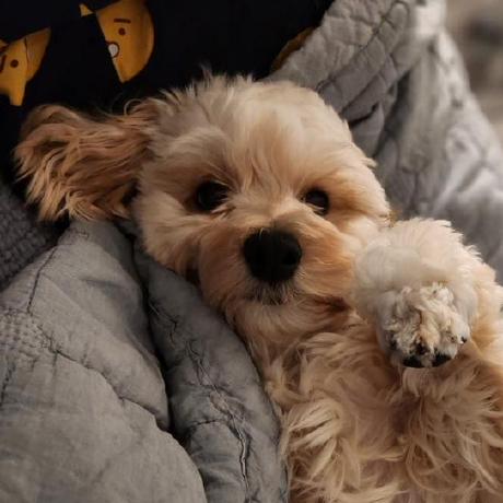 Mtzun10 Zun Github - Best Gradient Photos in Mobile