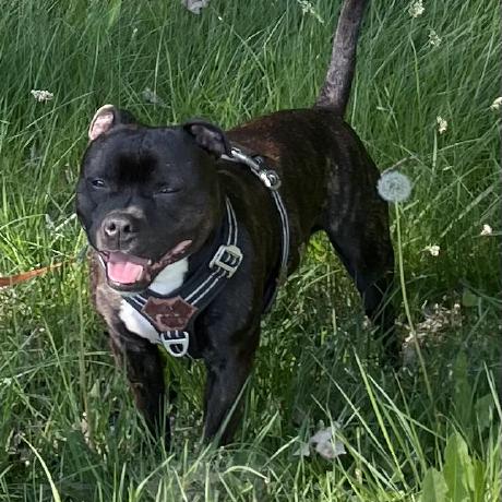 Eps Sanna Github - Perfect 4K Landscape Backgrounds | Free Download